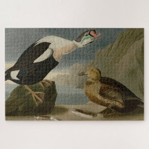 König Ente (König Eider) Audubons Vögel von Amerik Puzzle