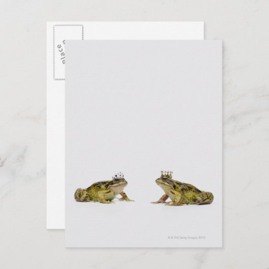 König-Königin-Frosch, der sich anschaut Postkarte (Vorne/Hinten)