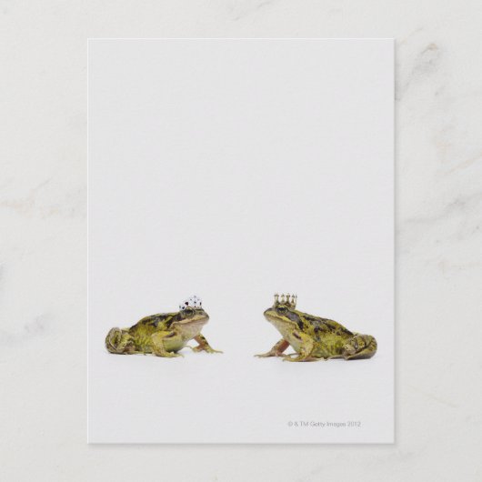 König-Königin-Frosch, der sich anschaut Postkarte (Vorderseite)