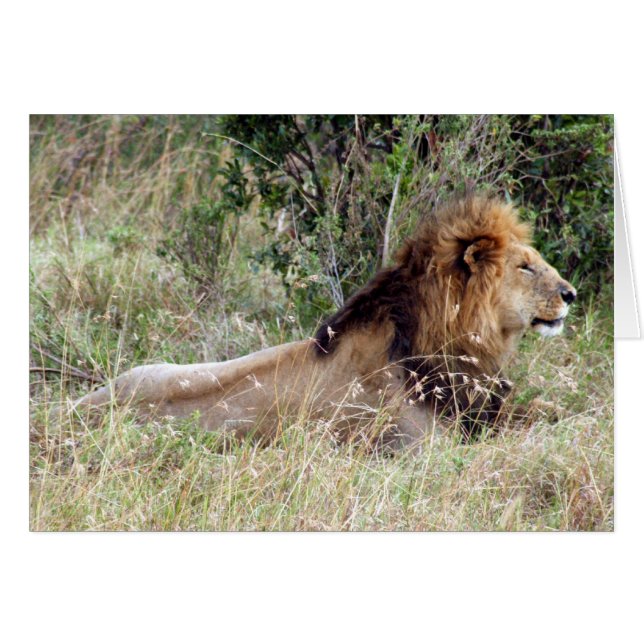 König Löwe (Vorderseite (Horizontal))