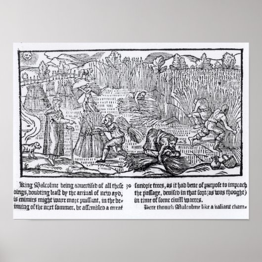 König Malcolm von Schottland Poster (Vorne)