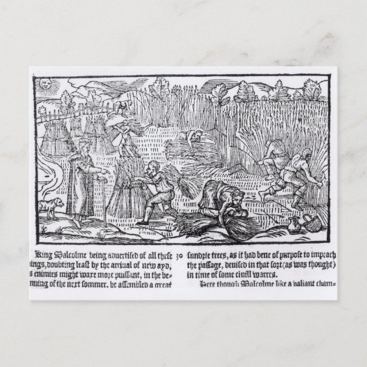 König Malcolm von Schottland Postkarte (Vorderseite)