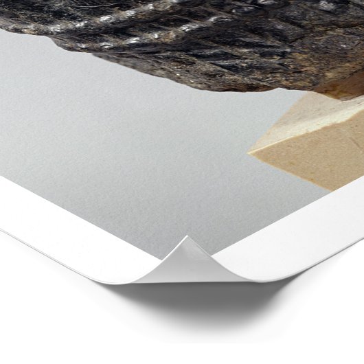 König, möglicherweise Hammurabi, König von Babylo Poster (Ecke)