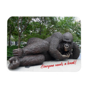 König Nyani macht eine Pause. NYC - Foto-Magnet Magnet