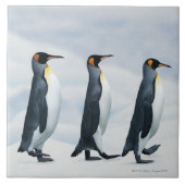 König Penguins, die in Singledatei gehen Fliese (Vorderseite)