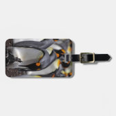 König Pinguin Gepäckanhänger (Vorderseite horizontal)