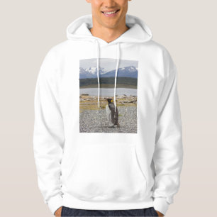 König Pinguin, Isla Martillo, Feuerland Hoodie