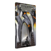 König Pinguin mit Küken Mini Klemmbrett (Schrägansicht)
