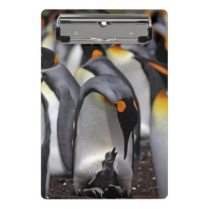 König Pinguin mit Küken Mini Klemmbrett