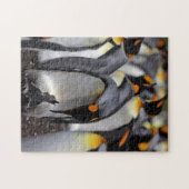 König Pinguin mit Küken Puzzle (Horizontal)