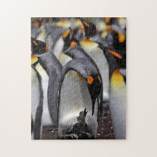 König Pinguin mit Küken Puzzle (Vertikal)