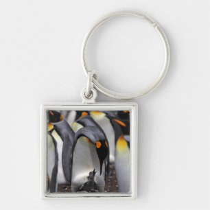 König Pinguin mit Küken Schlüsselanhänger