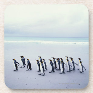 König-Pinguine (Aptenodytes patagonicus) Getränkeuntersetzer