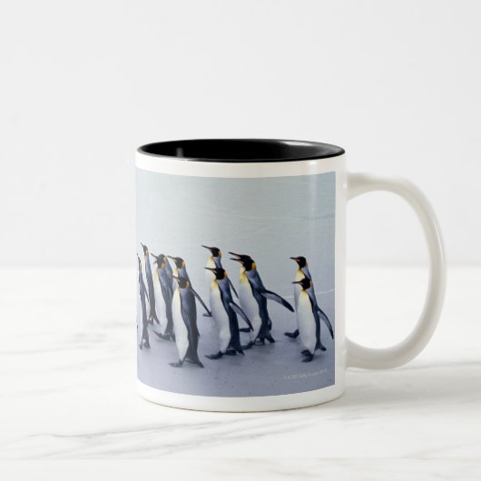 König-Pinguine (Aptenodytes patagonicus) Zweifarbige Tasse (Rechts)