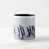 König-Pinguine (Aptenodytes patagonicus) Zweifarbige Tasse (Mittel)
