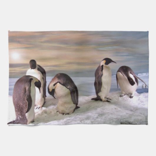 König-Pinguine Geschirrtuch (Horizontal)