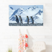 König Pinguine in Südgeorgien Banner (Insitu)