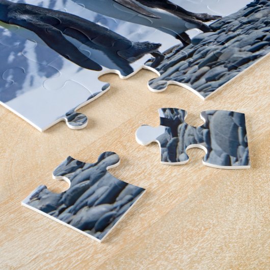 König Pinguine in Südgeorgien Puzzle (Seite)