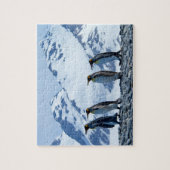 König Pinguine in Südgeorgien Puzzle (Vertikal)