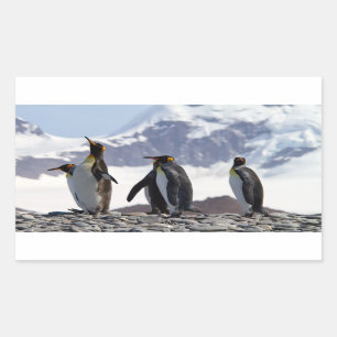 König Pinguine in Südgeorgien Rechteckiger Aufkleber