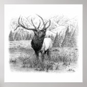 König Poster (Vorne)