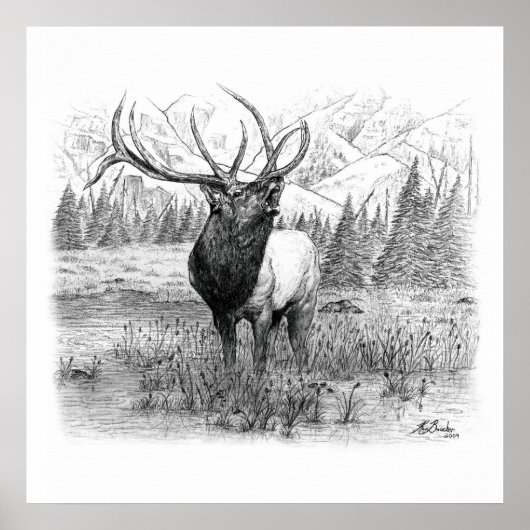 König Poster (Vorne)