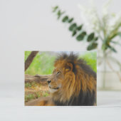 König Postkarte (Stehend Vorderseite)