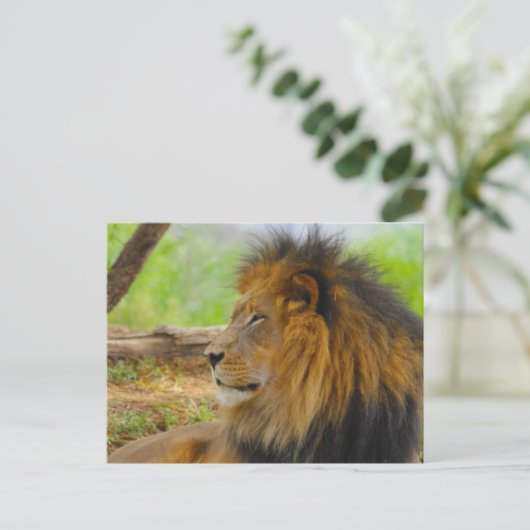 König Postkarte (Stehend Vorderseite)