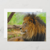 König Postkarte (Vorne/Hinten)