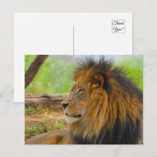 König Postkarte (Vorne/Hinten)