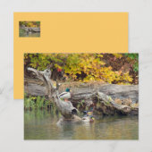 König Postkarte (Vorne/Hinten)
