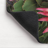 König Protea (Protea Cynaroides), Helderberg Mousepad (Ecke)