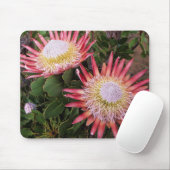 König Protea (Protea Cynaroides), Helderberg Mousepad (Mit Mouse)