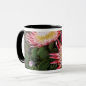 König Protea (Protea Cynaroides), Helderberg Tasse (Vorderseite Links)
