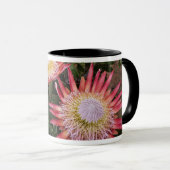 König Protea (Protea Cynaroides), Helderberg Tasse (VorderseiteRechts)
