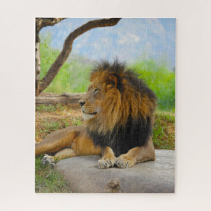 König Puzzle
