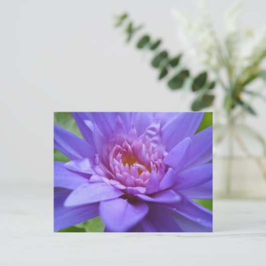 König von Siam Postkarte (Stehend Vorderseite)