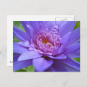 König von Siam Postkarte (Vorne/Hinten)