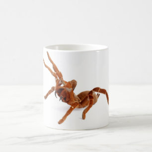 Königbaboon Tarantula. Kaffeetasse