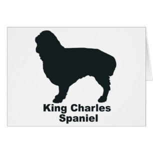 Königcharles Spaniel
