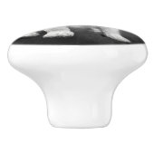 Königcharles Spaniel-Kavalierwelpe Keramikknauf (Seitenansicht)