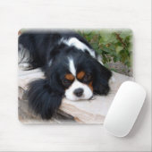 Königcharles Spaniel-Mausunterlage Mousepad (Mit Mouse)