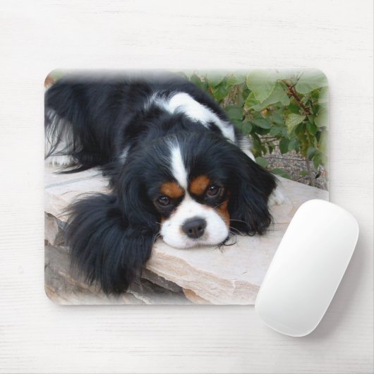 Königcharles Spaniel-Mausunterlage Mousepad (Mit Mouse)
