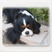 Königcharles Spaniel-Mausunterlage Mousepad (Vorne)