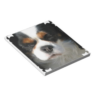 Königcharles Spaniel-Notizblock Notizblock