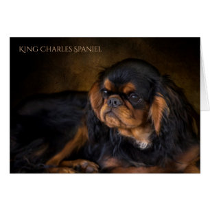 Königcharles Spaniel-Raum-Gruß-Karte