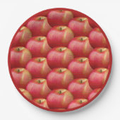 KÖNIGER ROTER APPLE PAPPTELLER (Vorderseite)