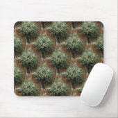 Königin Anne's Elster...... Mousepad (Mit Mouse)
