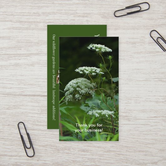 Königin Anne's La ce Wildblume - Daucus carota Bus Visitenkarte (Vorderseite/Rückseite Beispiel)