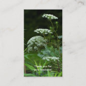 Königin Anne's La ce Wildblume - Daucus carota Bus Visitenkarte (Vorderseite)